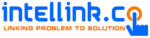 Intellink logo